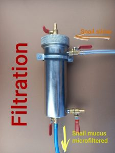 Connecting the hose to the Mucus filter when filtering snail mucus