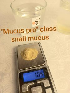 natural lyophilized snail mucus