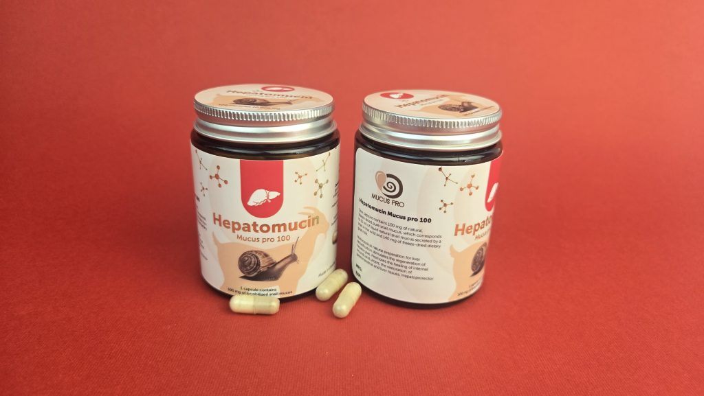 Hepatoprotector from snail mucus and milk