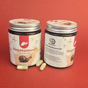 Hepatoprotector from snail mucus and milk
