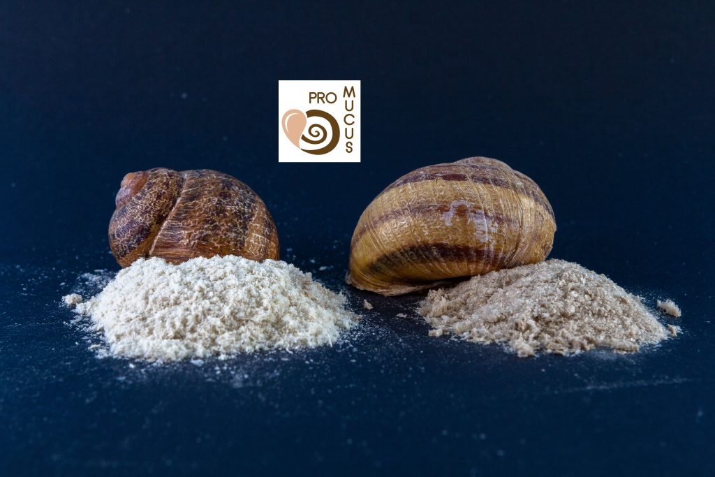 Natural freeze-dried snail mucus of the "Mucus Pro" quality grade